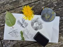 Druk, druk, druk met ons en kom op een texture hunt